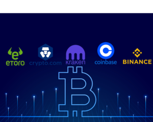 Read more about the article Best Crypto Exchange for Beginners in 2025: A Comprehensive Guide